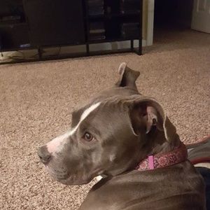 Meet your Posher, Scott